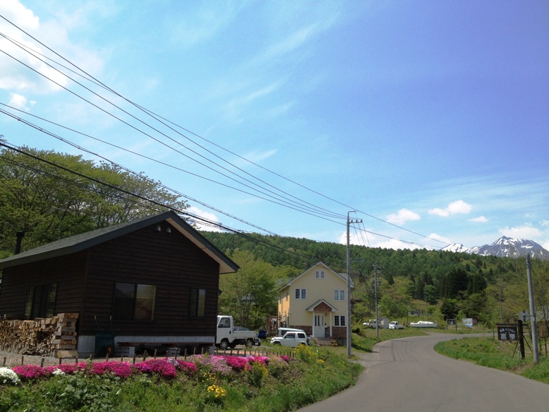 我が家の芝桜2012