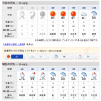 今日の信州・黒姫20141114～初雪の予報でしたが。。～