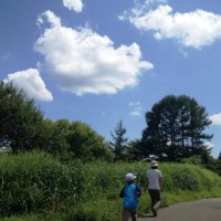 散歩の風景20120825