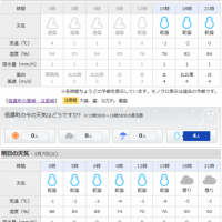 今日から8日間毎日雪が降る予報。。20170206