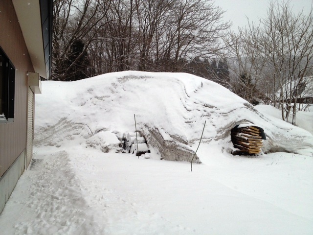 ４月なのに雪。。