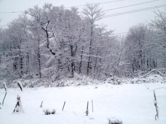 この時期にビックリの積雪！20130421b