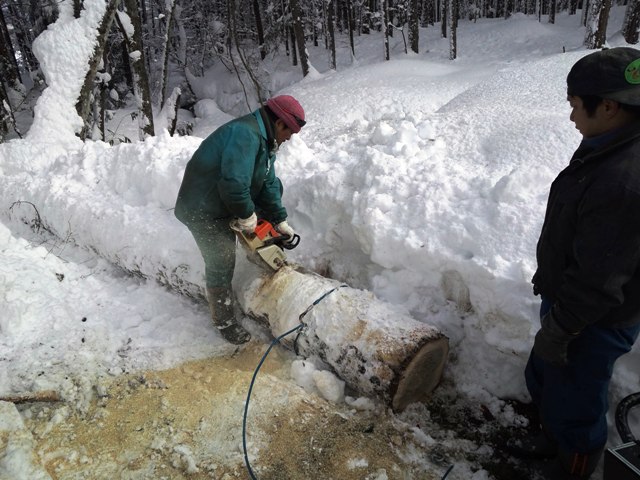 今日は除雪と楢丸太の搬出作業～今日の作業風景～