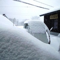 この時期に一晩で３０cmの積雪が。。