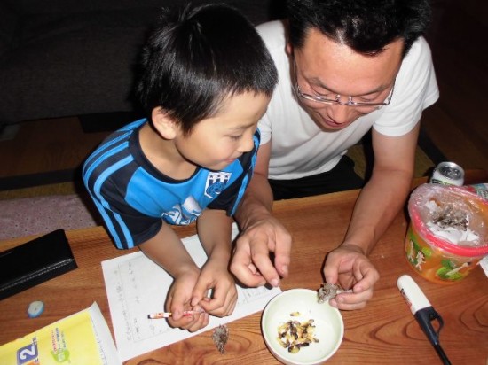 蜂の子を炒めて食べてみました