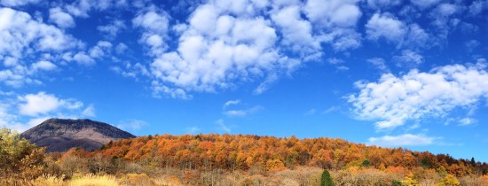 信州・黒姫今日の風景20141106