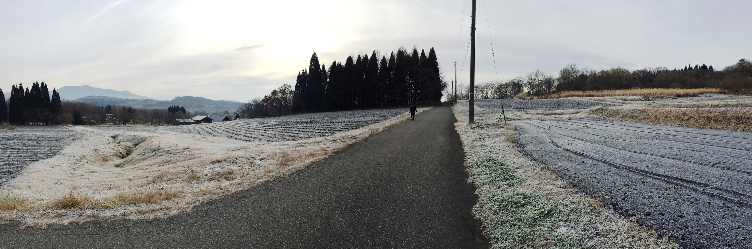 信州・黒姫今朝の風景20141120マイナス4度の朝-1