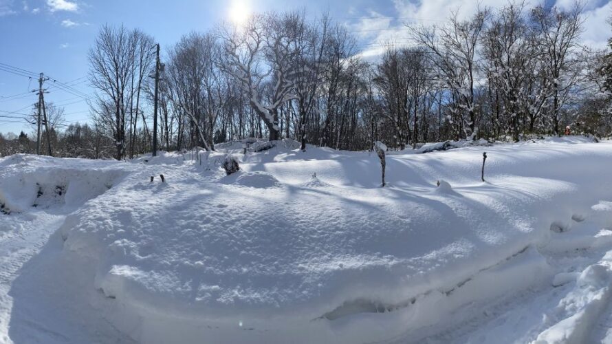 我が家の庭20230107～降雪量が少ない年末年始～