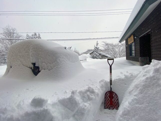 再び大雪20230128-1