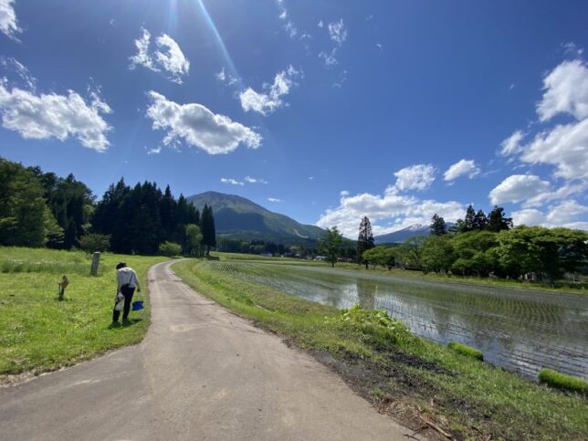 散歩の風景20220522