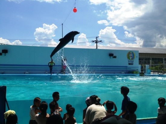 上越市立水族博物館20120819-2