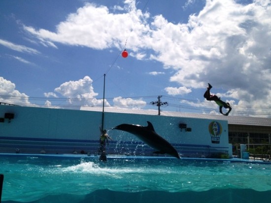 上越市立水族博物館20120819-4