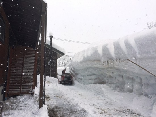 敷地南側の「雪の壁」20150215