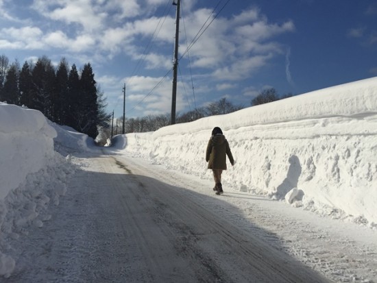 今日の信州・黒姫20150216～観測史上最多の168ｃｍの積雪を観測。雪の壁が人の背の高さより高くなっています～