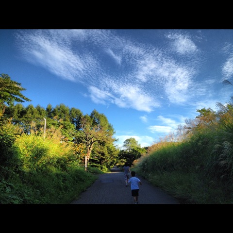 散歩の風景20120910早朝