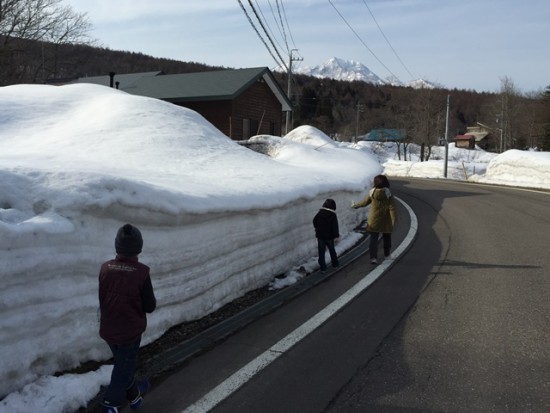 我が家の庭の風景20150315