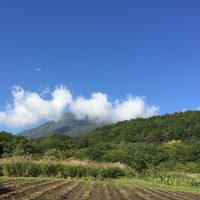 久しぶりの晴れの日20171001