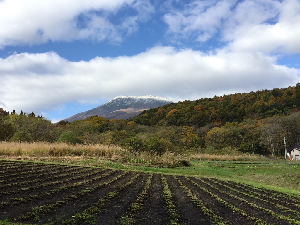 今日の信州・黒姫20171101～紅葉が綺麗になってきました～