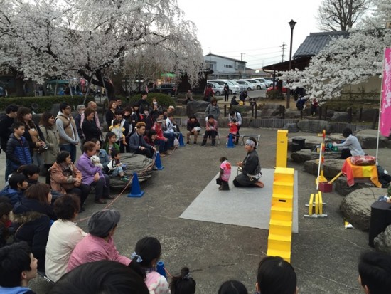 臥竜公園の桜～猿回し～20150412