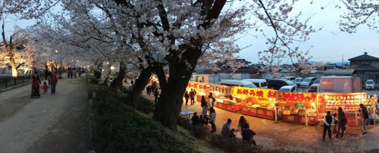 臥竜公園の夜桜20150412