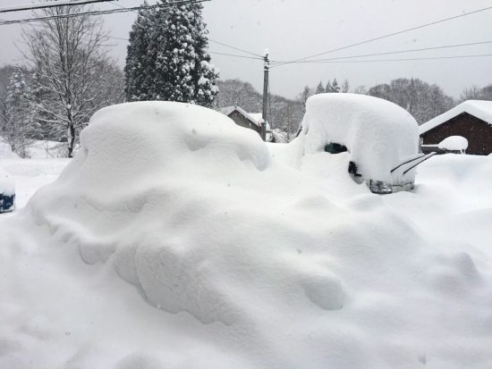 ようやく降雪が弱まりました20171228