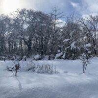 今朝の我が家の風景～積雪20cm～20211128