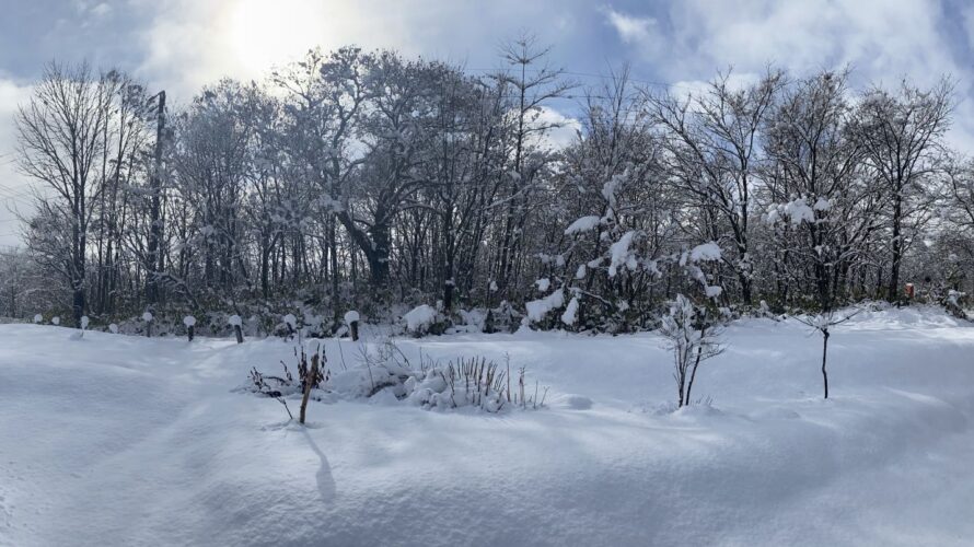 今朝の我が家の風景～積雪20cm～20211128