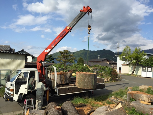 欅巨木丸太を搬入しました20150511-1