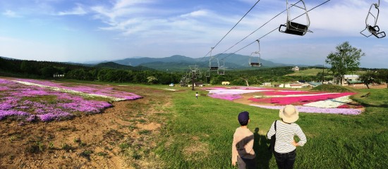 旬花咲く黒姫高原の芝桜20150524-1