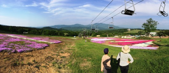 旬花咲く黒姫高原の芝桜20150524-1