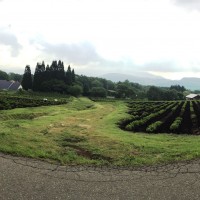 信州・黒姫今日の風景20150527