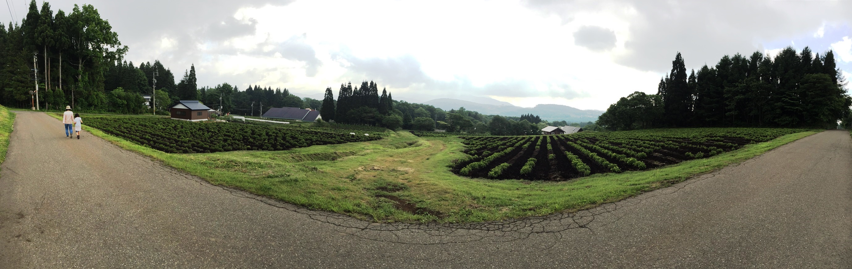 信州・黒姫今日の風景20150527-1