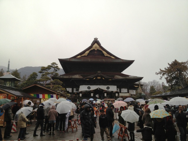 初詣2013善光寺1