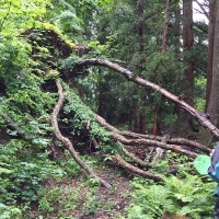 苗名滝探検隊～信濃路自然歩道を歩こう～8