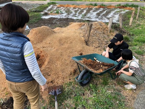 今年もおが屑の山の中にカブトムシの幼虫が。。20180429-1