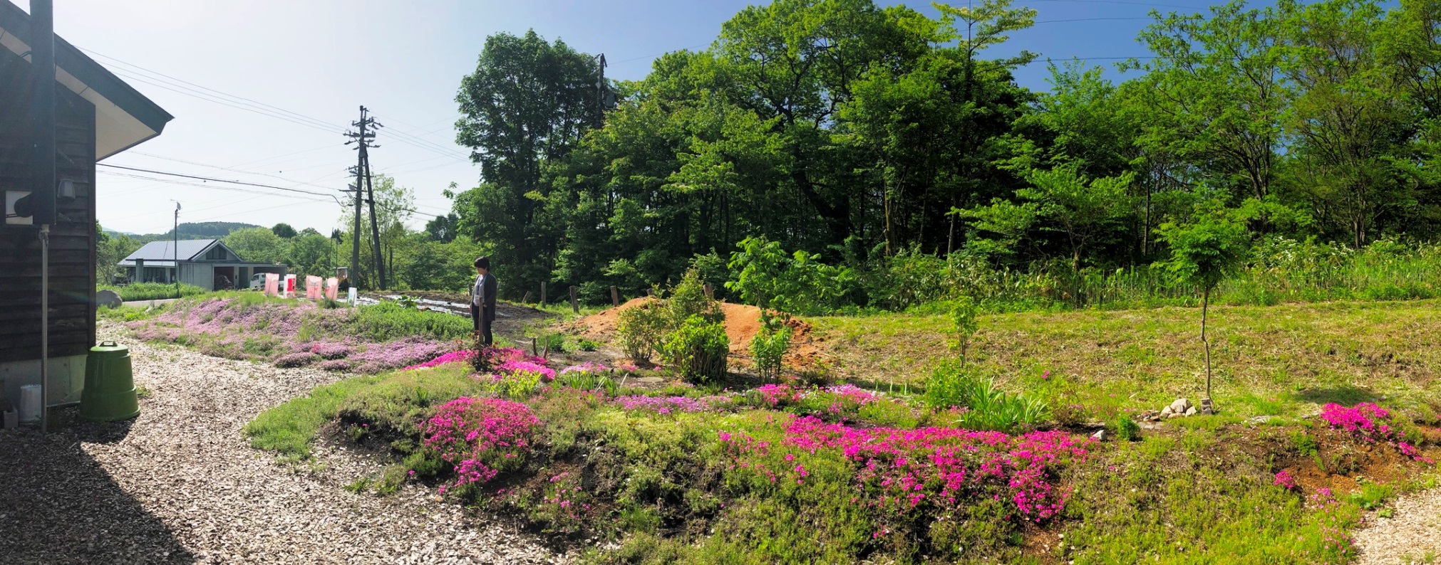 我家の庭の様子20180522-1