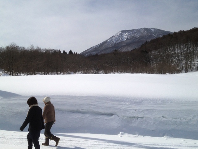 昼の散歩の風景　20130214-1