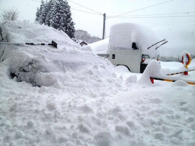 久しぶりの大雪20130216