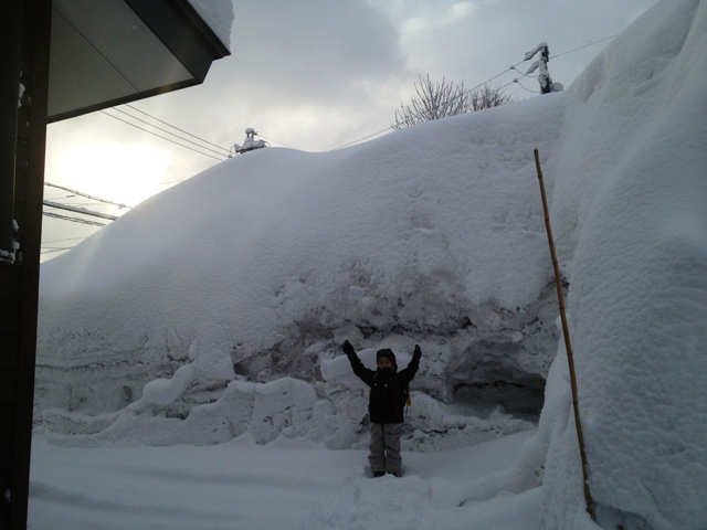 我が家の畑の雪の山20130225
