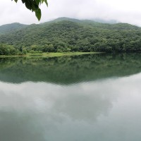 古池。人の手が加わった池ですが、美しい。。