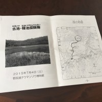 古池・種池探検隊に参加。今回で3回目です。