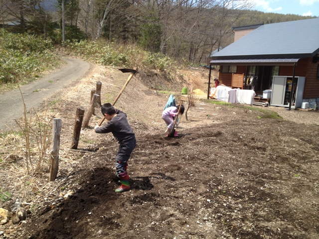 土起こし20130504-a