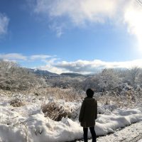 年末の最終出荷日・年始出荷開始日、及び年末年始の営業についてのお知らせ20181219