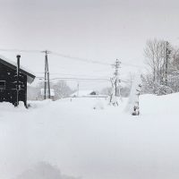 大雪警報から一夜明けて20181228