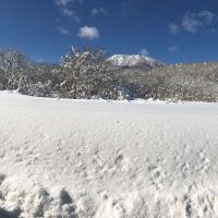 新年明けましておめでとうございます20190101