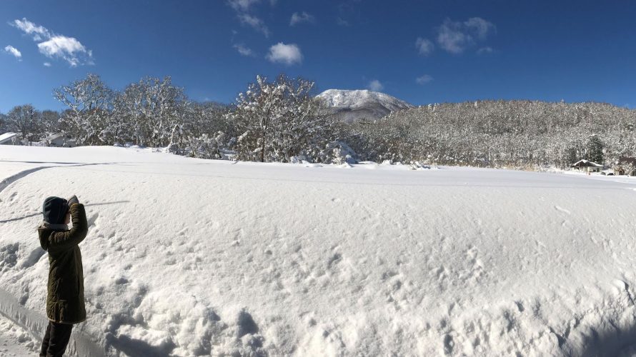 新年明けましておめでとうございます20190101