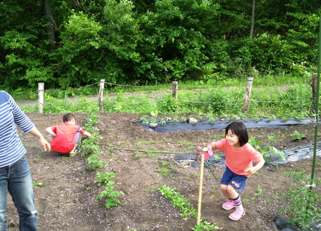 今日は1日庭いじり20130609-2