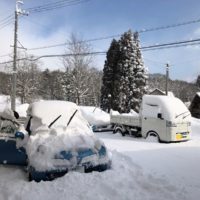 積雪量が少ない冬20190317