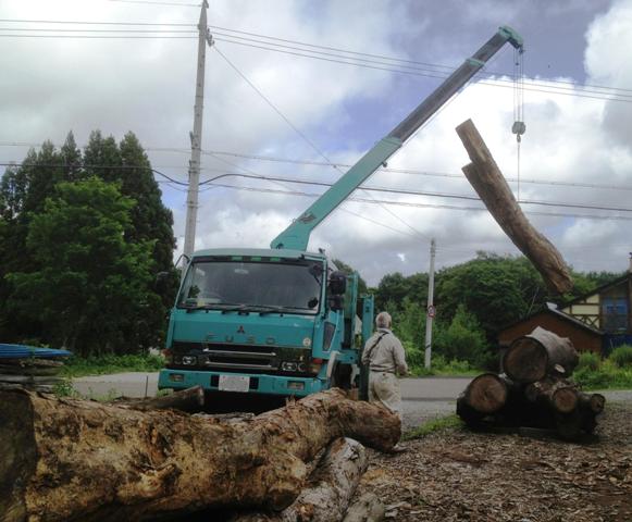 栃の丸太6本を入手しました20130719-1