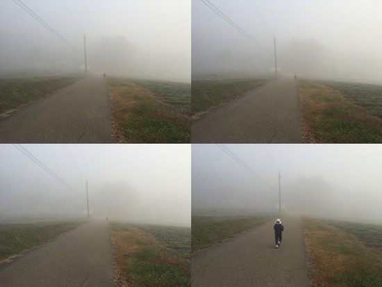 ジョギングする息子の姿が霧の中に消えていく。。20151015